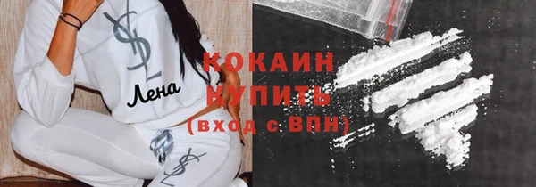 соль ск Алексин