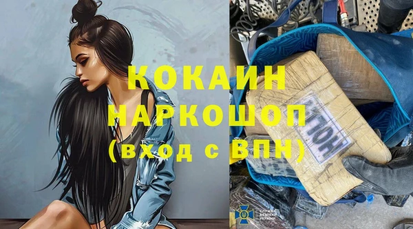 индика Алзамай