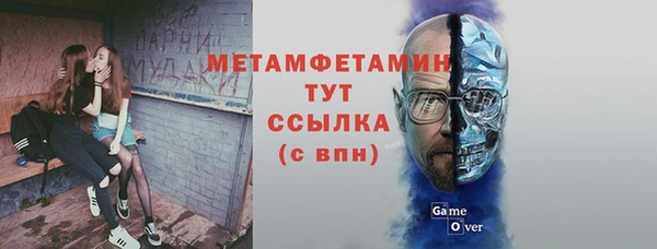 гидра Краснослободск