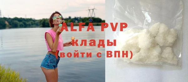 соль ск Алексин