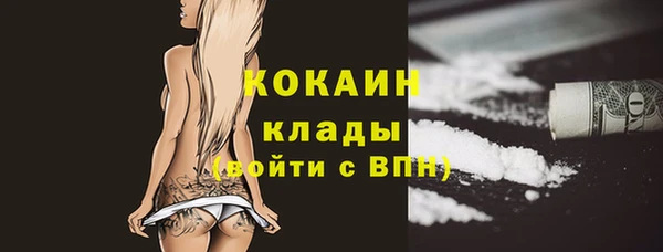 соль ск Алексин