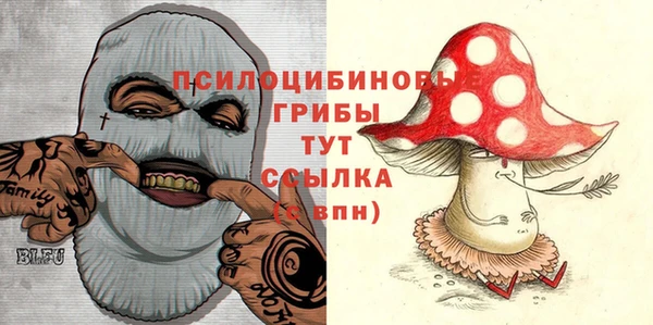 индика Алзамай