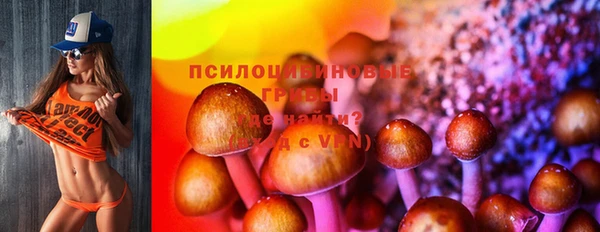 индика Алзамай