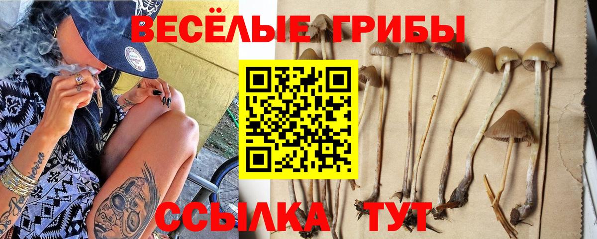 Галлюциногенные грибы Psilocybe  Псилоцибиновые грибы прущие грибы  Вход с VPN  Белорецк 